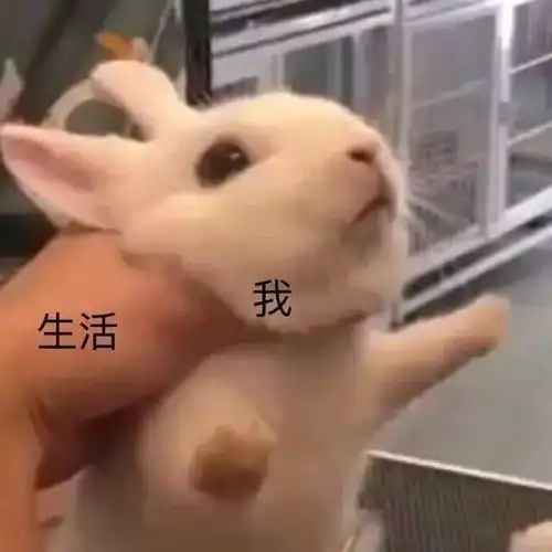  大学生为学生工作而付出,到底值不值得