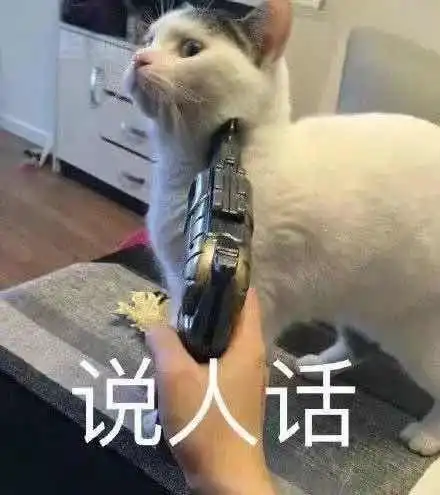  有哪些憨憨文案可以让我稳居朋友圈沙雕c位