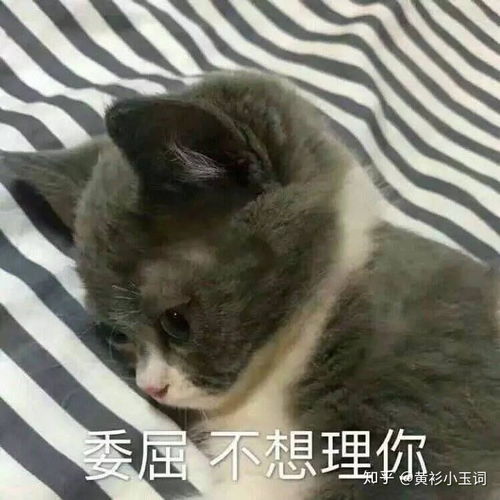  英雄联盟怎么培养打野意识