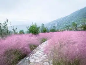 河南的秋,就是人间仙境 河南的秋,就是人间仙境