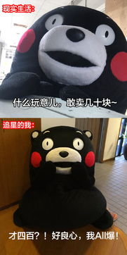  现实的我vs追星的我表情包下载现实的我vs追星的我表情包高清无水印极光下载站