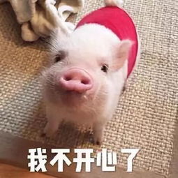  龙首文苑童年最美好的回忆