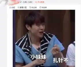 你是个成熟的粉丝了,该帮偶像圈粉了