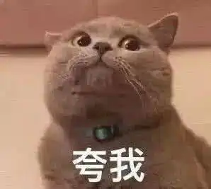 荣耀定档最强大脑再燃脑力战火,李诞王耀庆加盟观天梯对决 荣耀定档最强大脑再燃脑力战火,李诞王耀庆加盟观天梯对决