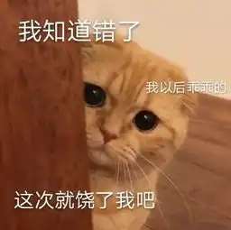 斗图表情包合集你没睡醒吗,哥们