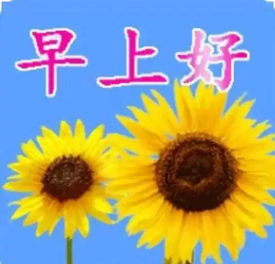  生活不简单,尽量简单过,早安