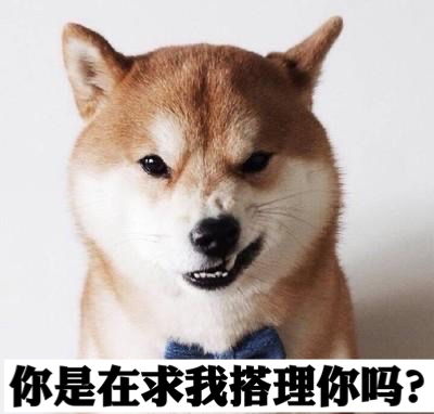  高冷的表情包