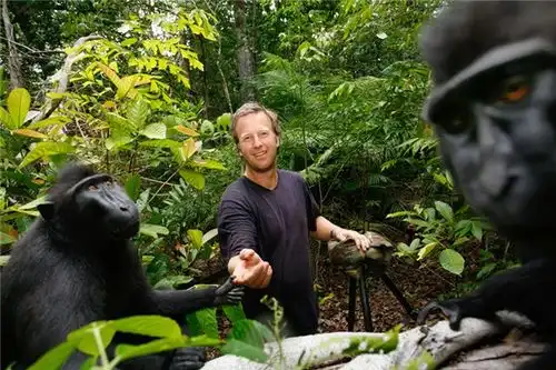 猩猩摊手表情包自拍照