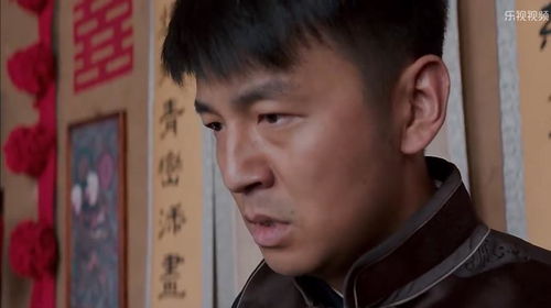  看白鹿原被何冰雷佳音震到了