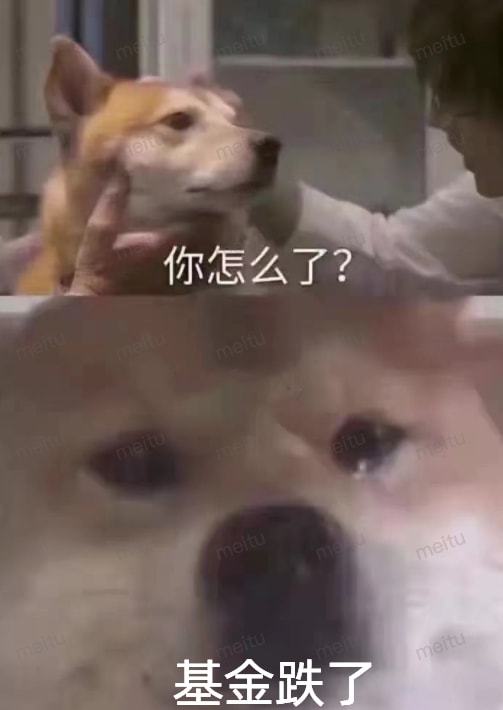  买基金的人,请给自己一点容错空间