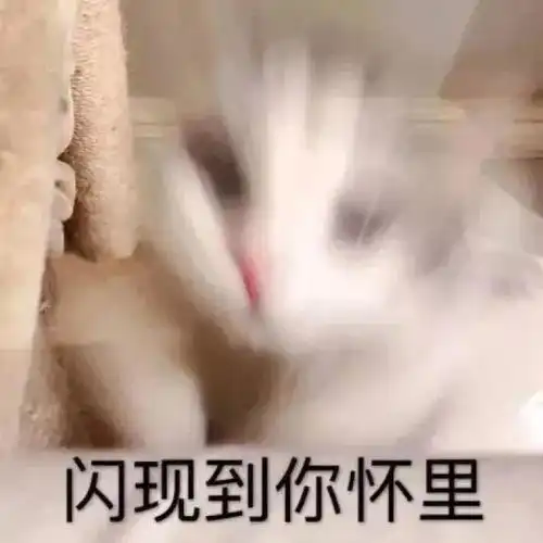  幽默搞笑表情包要抱抱
