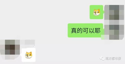  微信新增10款表情包狗头吃瓜都有为啥你没有