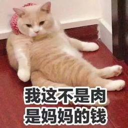  淮安猪肉又涨了排骨35斤五花肉21斤实拍淮安多家超市,已吃不起猪肉