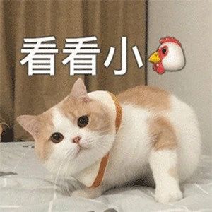  你的小宝贝饿了,可爱搞笑表情包图片