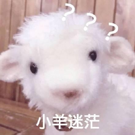 恍惚表情包小羊