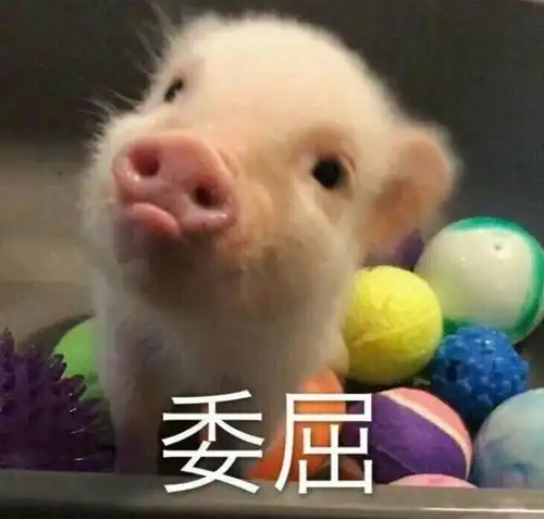  我整死你,你别跑特斯拉半路没电抛锚,车主苦等5小时反遭救援人员暴打