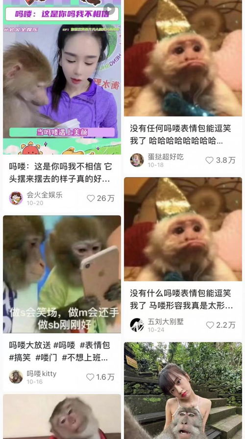  从表情包到直播,一夜之间占领了年轻人生活圈的吗喽到底是什么