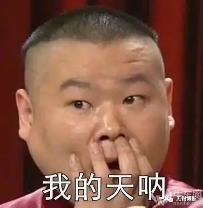  听说过鸿运大包,王兴记小笼包,但你听过菊花大包全无锡就这里有