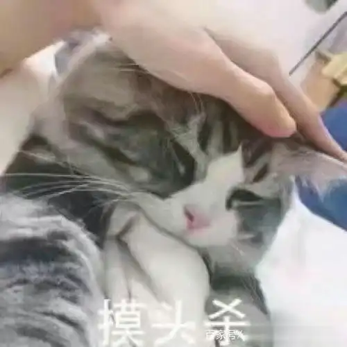 笑话十则瞧你那点出息,咱俩都已经结婚啦,你还往衣柜里藏啥  笑话十则瞧你那点出息,咱俩都已经结婚啦,你还往衣柜里藏啥