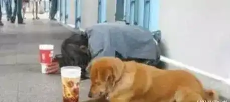  萍乡一男子欠钱不还玩失踪,谁认识他
