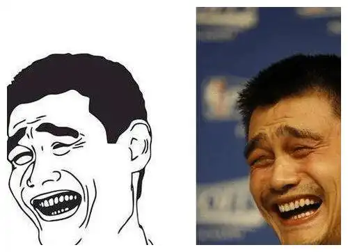funny表情包姚明