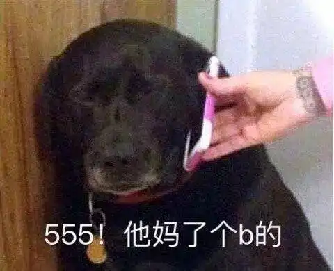 在线表情包沙雕急性胰腺