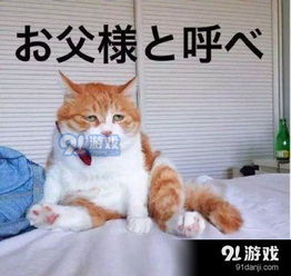  日语表情包哪里可以获得qq微信无水印日语表情包分享