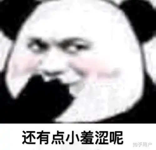  盗贼之海游玩注意事项有哪些