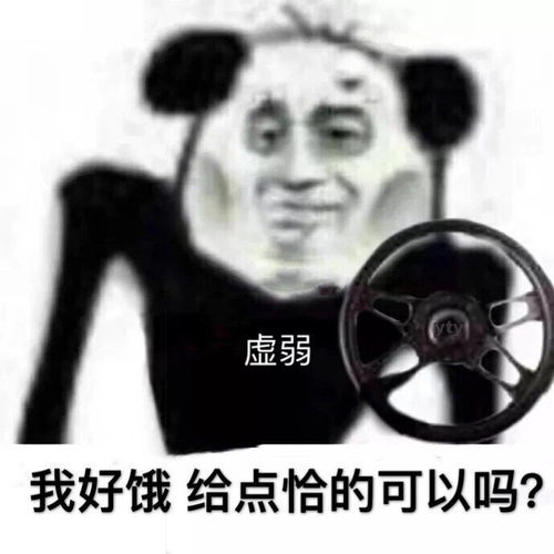  热门表情包图片别动,我在给你拍照,留下证据