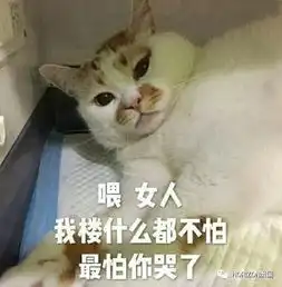  这只猫去世,近百万网友每天以泪洗面