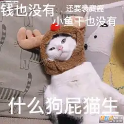  既然来了那就磕个头再走吧图片姐妹一起王者表情包下载乐游网游戏下载