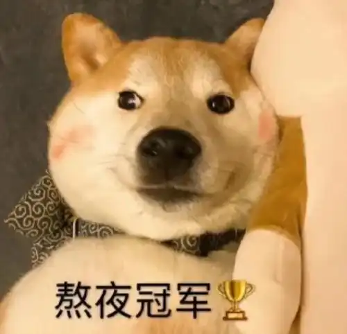 沙雕表情包,做勾狗最重要的就是开心嘛 沙雕表情包,做勾狗最重要的就是开心嘛