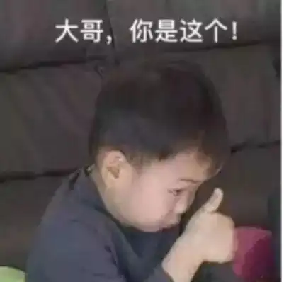 你是我大哥表情包大佬