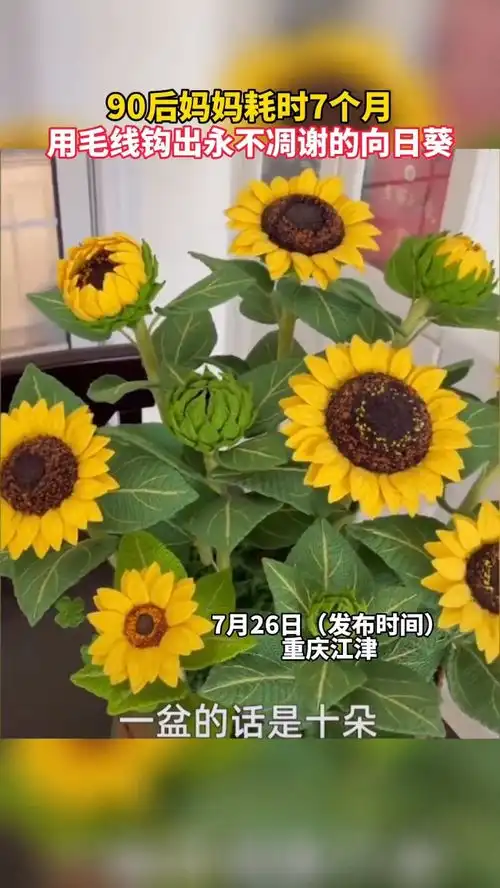  90后妈妈耗时7个月,用毛线钩出永不凋谢的向日葵