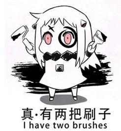  甘孜史上首场国际拳王争霸赛五国拳手明晚康定激战,搏击宝贝助威王者之战