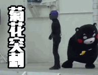 熊本熊动图gif表情包