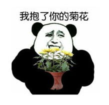  握日表情包下载手握太阳表情包下载飞翔下载
