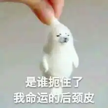  群内大佬的沙雕表情包第六十二期