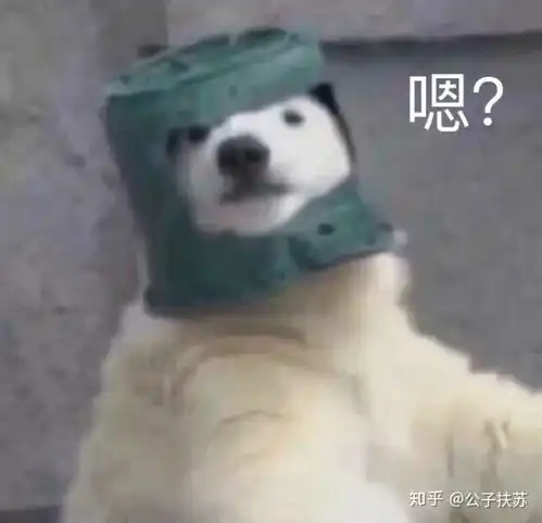 王一博粉丝会因为喜欢王一博而骄傲吗 王一博粉丝会因为喜欢王一博而骄傲吗