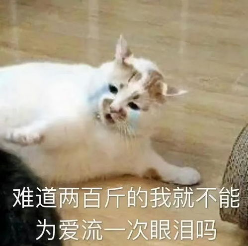  女朋友和我接吻2分钟就喘不过来气了,这能跑1500米吗哈哈