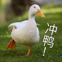  一起冲鸭搞笑带字表情包