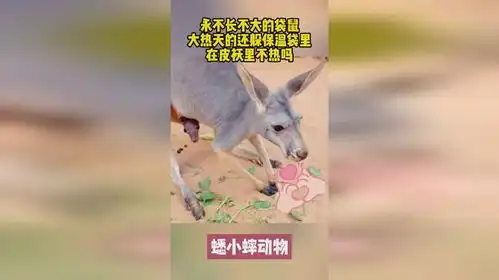  永不长不大的袋鼠,大热天的还躲保温袋里,在皮袄里不热吗