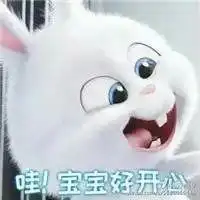 爱宠大机密小白萌头像微信头像图片大全  爱宠大机密小白萌头像微信头像图片大全