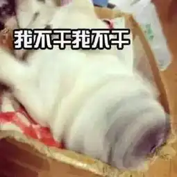  每日表情包女生专用表情系列