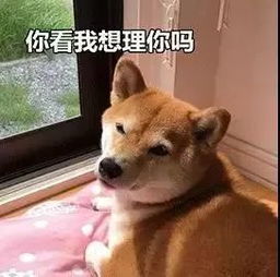  让初恋后悔,让暗恋心碎,给现任长脸全靠它美圈北京天津