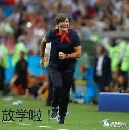  在狂风暴雨的夜里心碎卫冕冠军德国队爆冷出局