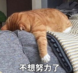  久坐伤肾李贝贝喊你动起来