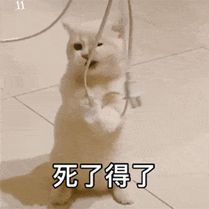 老婆你真棒动态表情包爱