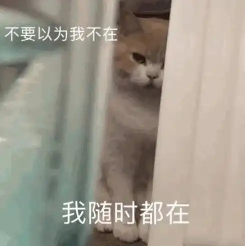  表情包丨你这个迷人的小坏蛋