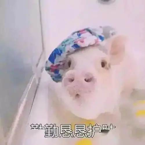  吹风能毁容空调季来临,我们该咋办